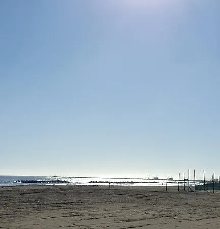 Anny Porto Garibaldi