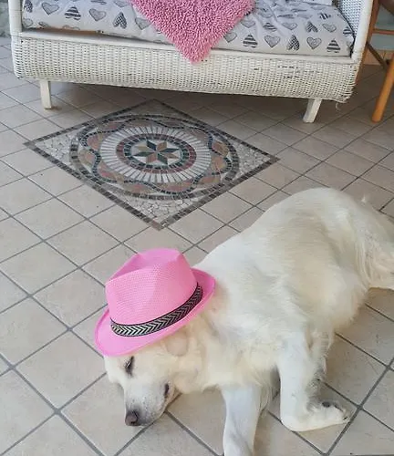 Anny فندق مبيت وإفطار 3*