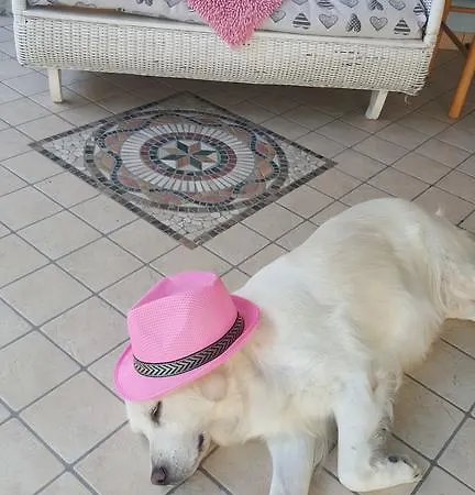Anny לינה וארוחת בוקר 3*